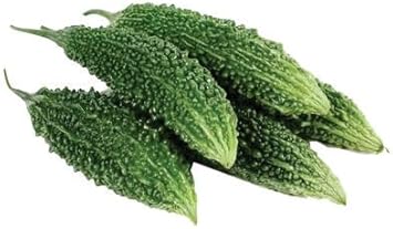 Karol Bitter Vegetable Seeds for Planting - 100 Pcs pcs - Dharaseeds