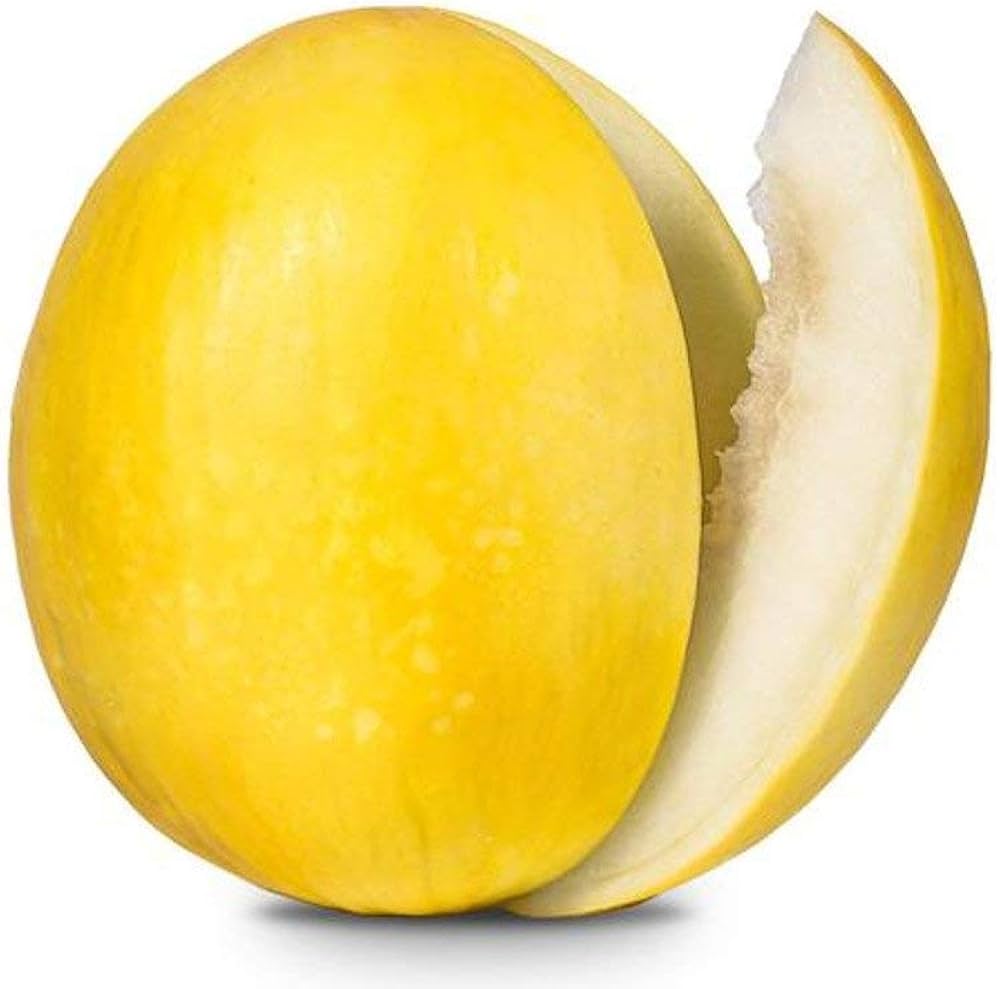 Non GMO heirloom Kazakh melon seeds for warm season planting
