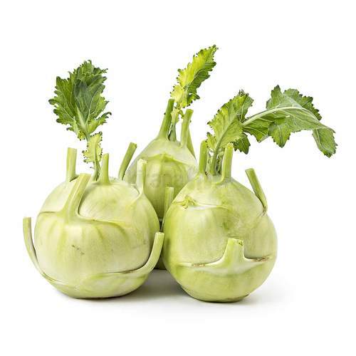 Knol Khol Kohlrabi F1 heirloom non-GMO organic garden seeds