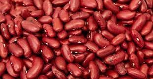 Kidney Bean Seeds for Gardening, 100 Pcs pcs - Dharaseeds