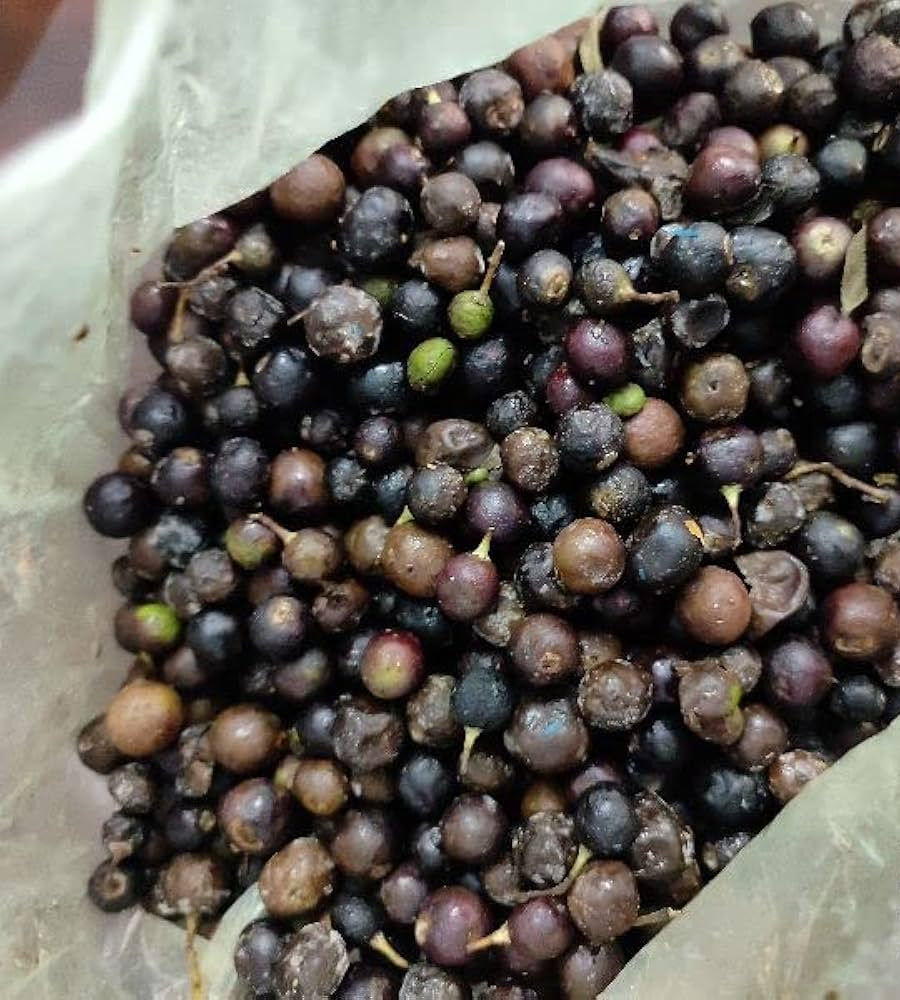 Fresh Curry Leaf growing in garden for cooking