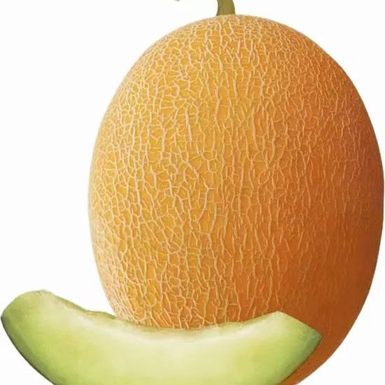 Kiwano Afrikanische seeds exotic plant for home garden