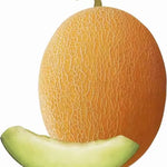 Kiwano Afrikanische seeds exotic plant for home garden