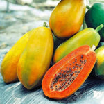 Kiwano seeds suitable for greenhouse or outdoor gardens