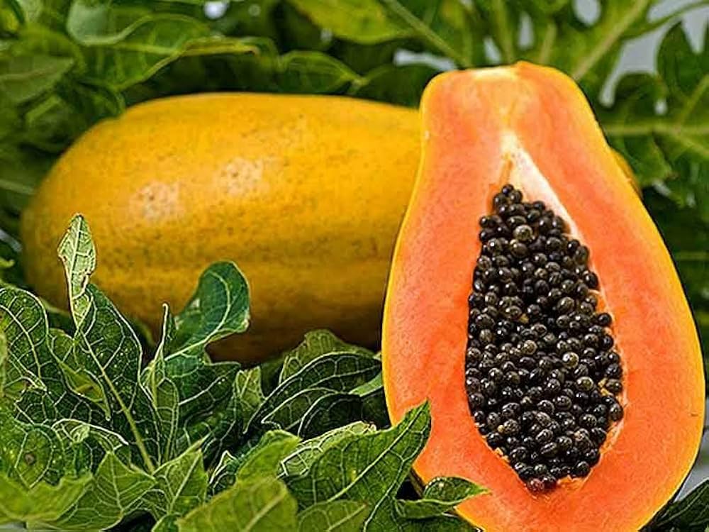 High germination Kiwano seeds for home gardening
