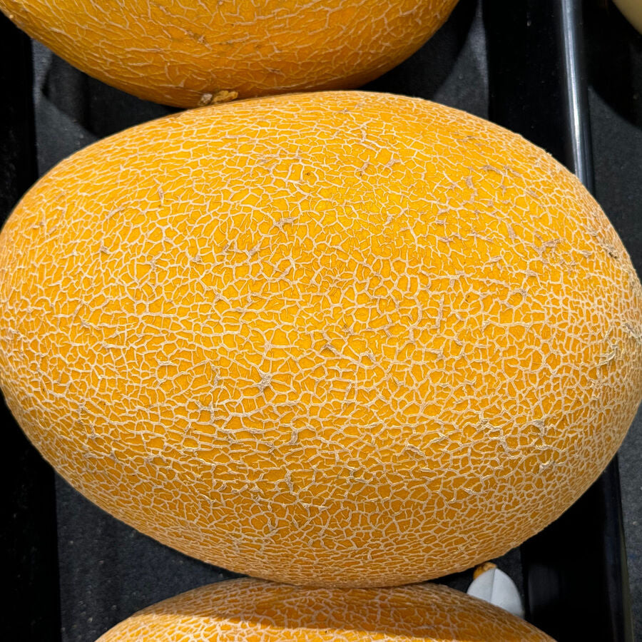 Exotic Kiwano seeds ideal for greenhouse growing