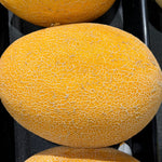 Exotic Kiwano seeds ideal for greenhouse growing