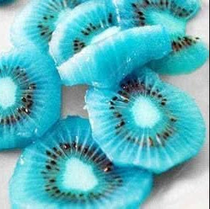 Kiwi vine seedlings growing from heirloom seeds