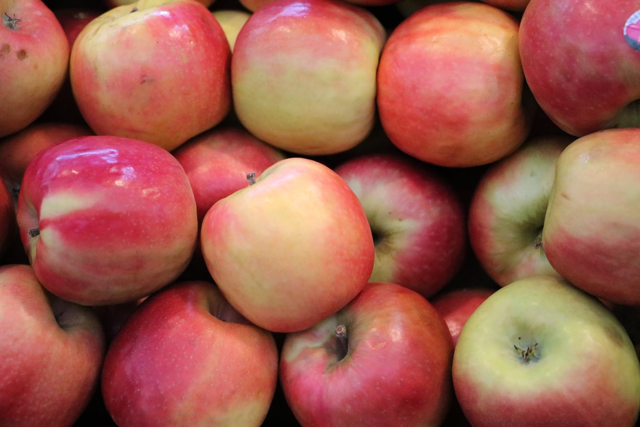 Pink Lady Apple (Malus domestica 'Cripps Pink') – Crisp & Refreshing Sweet-Tart Apples