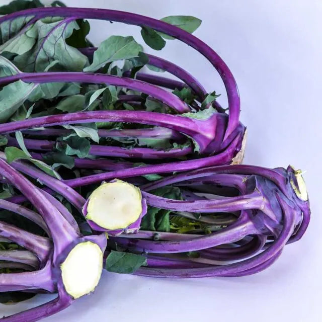 Kohlrabi Seeds, Early Purple Vienna