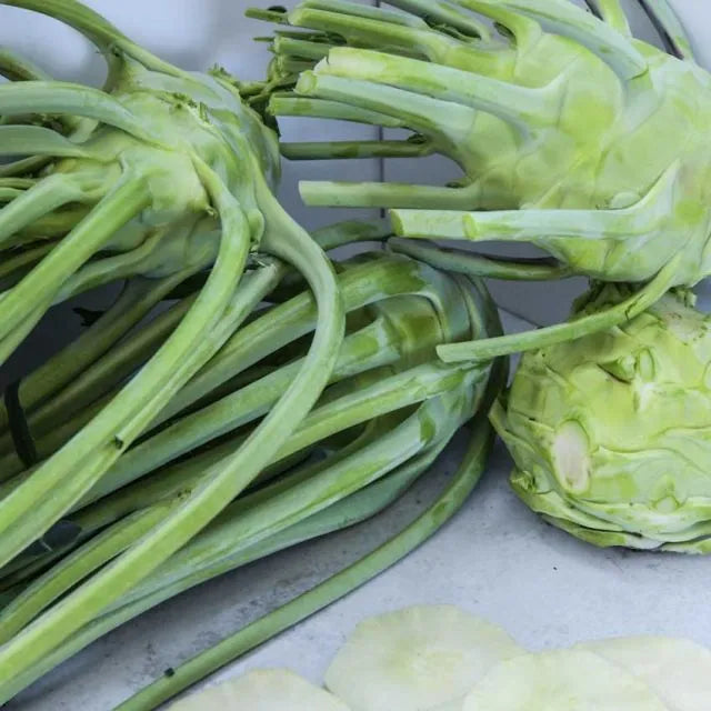 KOHLRABI SEEDS, EARLY WHITE VIENNA