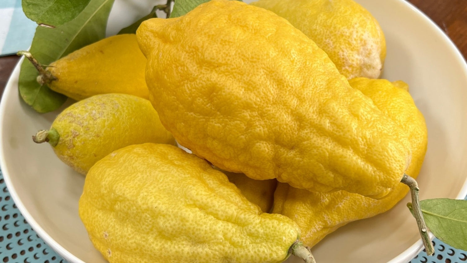 Citron (Citrus medica)