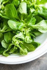 Lamb Lettuce Vegetable Seeds for Planting - 100 Pcs pcs - Dharaseeds