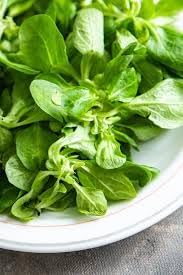Lamb Lettuce Vegetable Seeds for Planting - 100 Pcs pcs - Dharaseeds