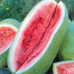 Non GMO watermelon variety seeds for high yield planting