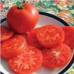 Legend Tomato Seeds – Early - Season Tomato with Rich Flavor & Blight Resistance - Dharaseeds
