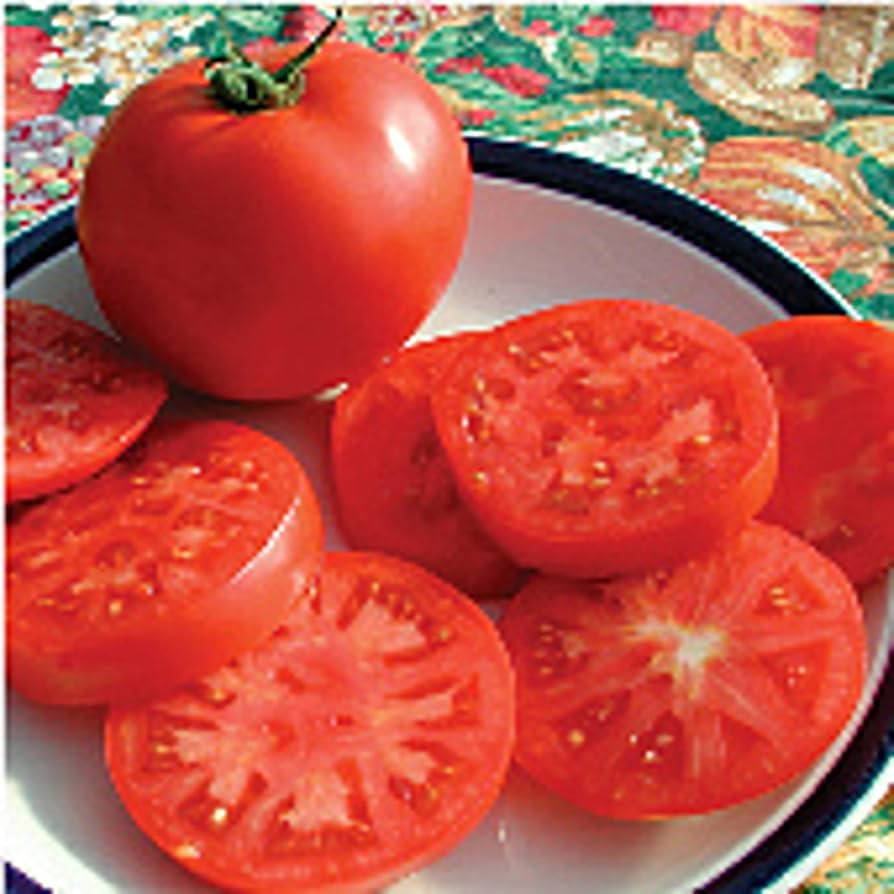 Legend Tomato Seeds – Early - Season Tomato with Rich Flavor & Blight Resistance - Dharaseeds