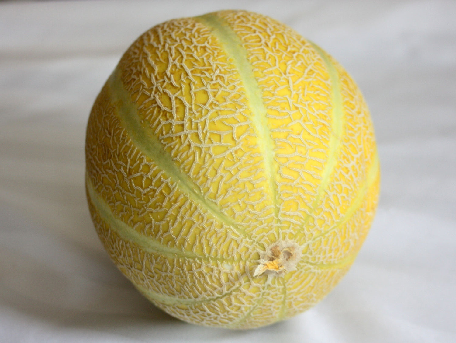 Lemon Drop Melon (Cucumis melo)