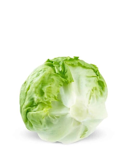 Lettuce Iceberg heirloom non-GMO organic garden seeds
