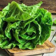 Lettuce Seeds for Home Garden, 100 Pcs pcs - Dharaseeds