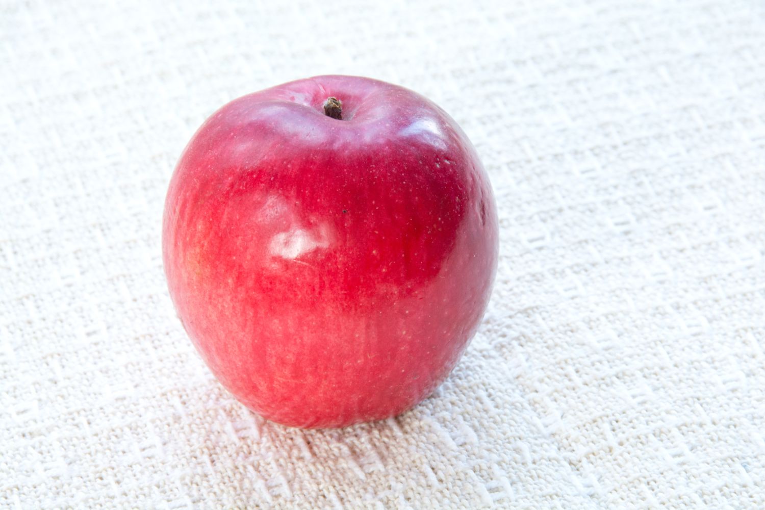 Liberty Apple (Malus domestica)