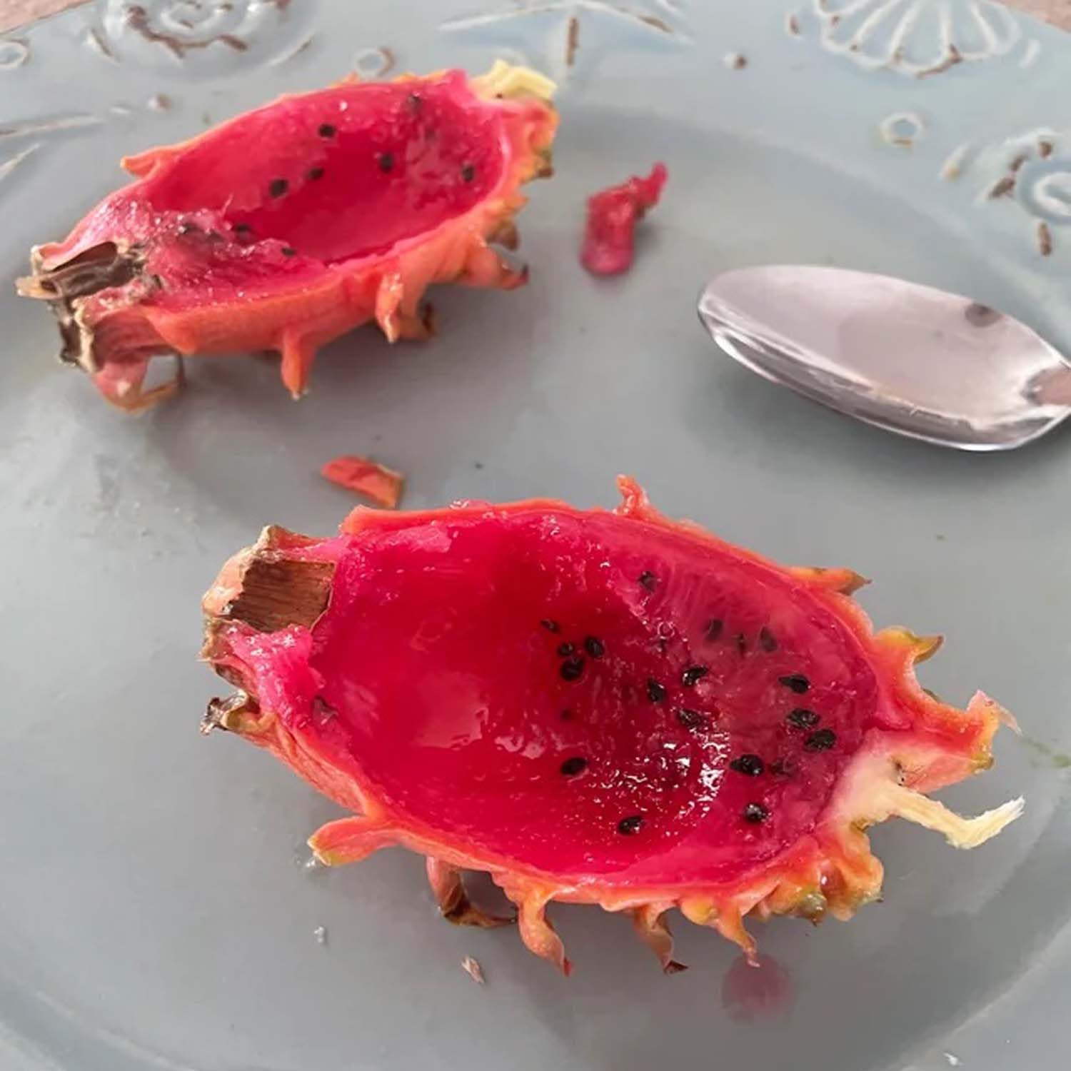 Non-GMO Light Orange Pitaya seeds for planting