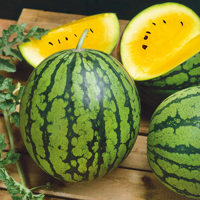 Light yellow watermelon seeds for planting high-yielding variety