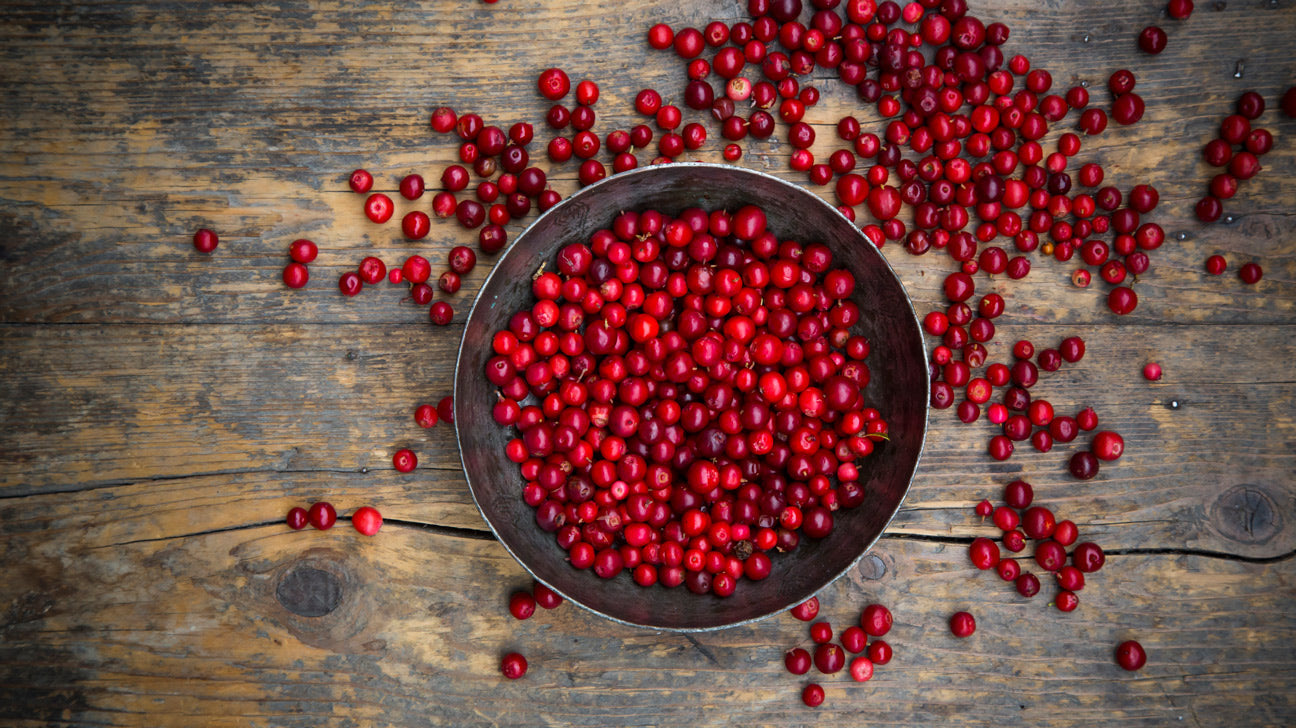 Lingonberry (Vaccinium vitis-idaea)