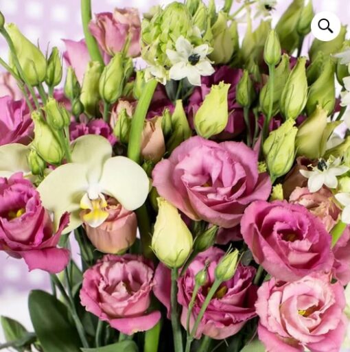 Lisianthus Aube Cocktail F1 Pelleted Imported heirloom non-gmo organic garden seeds