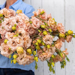 Lisianthus Voyage Apricot Hybrid Pelleted Imported heirloom non-gmo organic garden seeds