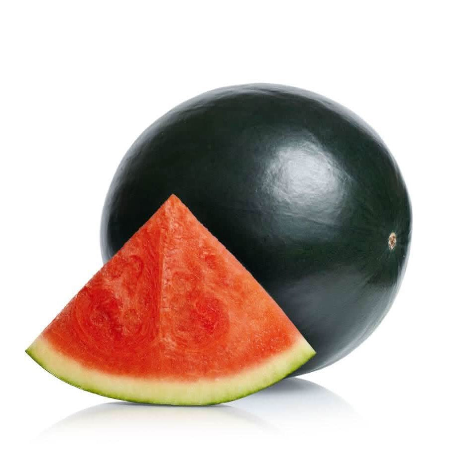 Little Red watermelon plant growing from seeds in summer garden