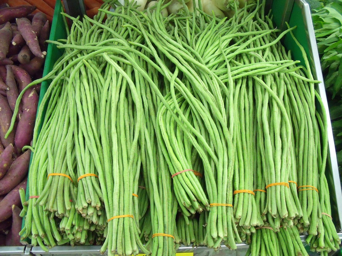Long bean Vigna unguiculata red and green vegetable seeds for planting in kitchen garden trellises or vertical supports - Dharaseeds