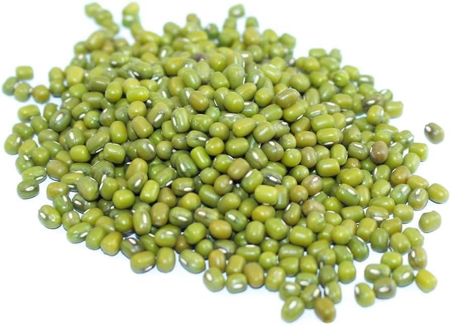 Long bean Vigna unguiculata red and green vegetable seeds for planting in kitchen garden trellises or vertical supports - Dharaseeds