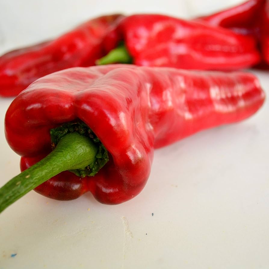 Marconi red pepper Capsicum annuum heirloom vegetable seeds for planting in kitchen garden or backyard beds - Dharaseeds