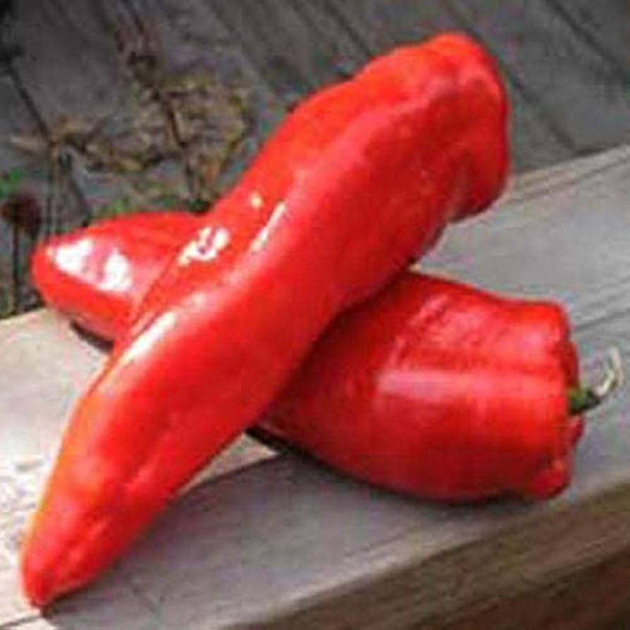 Marconi red pepper Capsicum annuum heirloom vegetable seeds for planting in kitchen garden or backyard beds - Dharaseeds