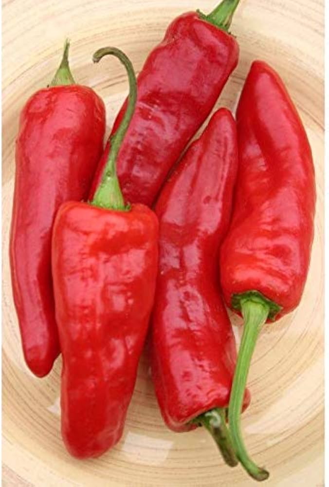 Marconi red pepper Capsicum annuum heirloom vegetable seeds for planting in kitchen garden or backyard beds - Dharaseeds