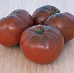 Marron Tomato Seeds for Planting - 100 Pcs pcs - Dharaseeds