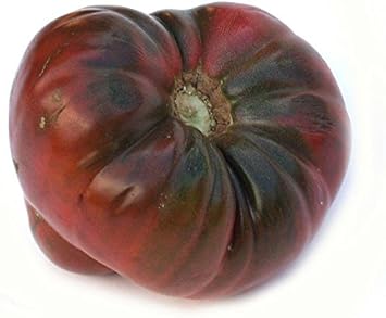 Marron Tomato Seeds for Planting - 100 Pcs pcs - Dharaseeds
