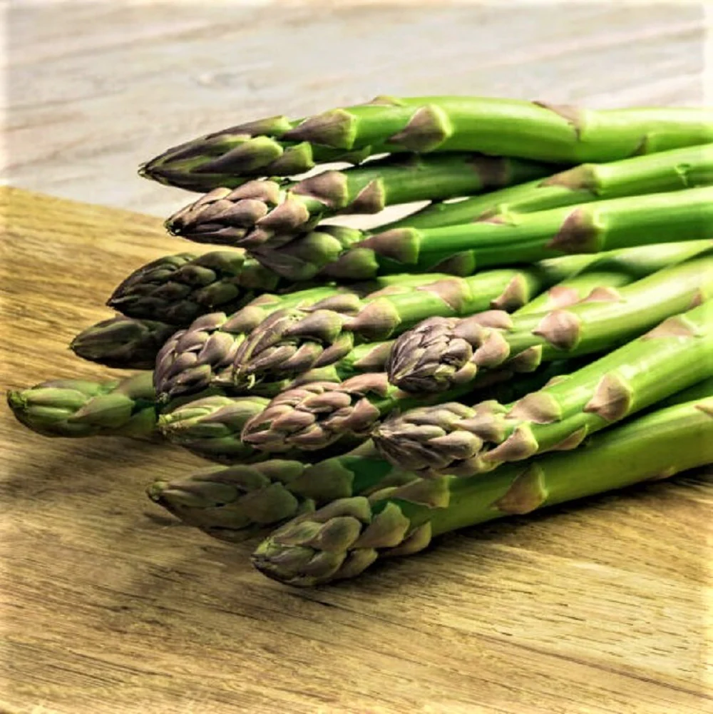 Asparagus Mary Washington Asparagus officinalis vegetable seeds for kitchen garden planting
