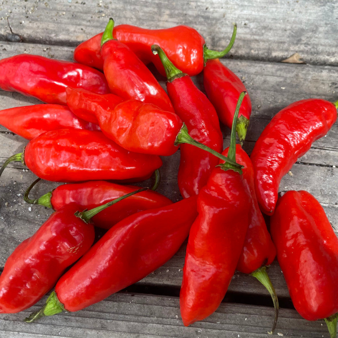Mirasol Pepper Vegetable Seeds for Planting