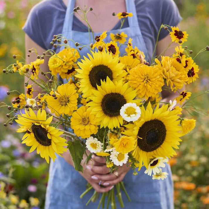 Mellow Yellow Flower Seed Mix