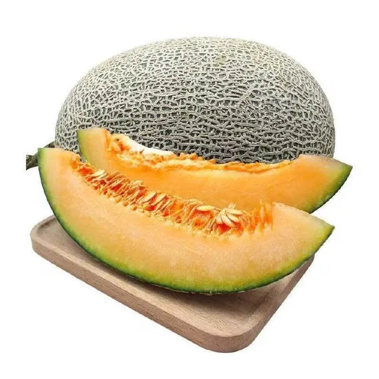Mid maturity hybrid melon seeds for organic gardening