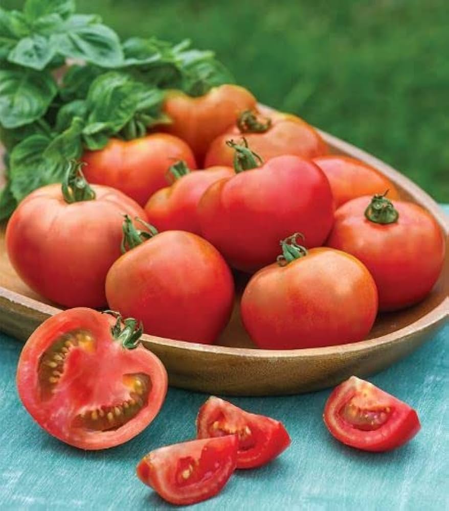 Mercato Gulf State Tomato Seeds – Medium Season Variety - Dharaseeds