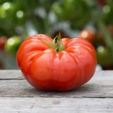 Mexican Silly Tomato Vegetable Seeds for Planting - 100 Pcs pcs - Dharaseeds