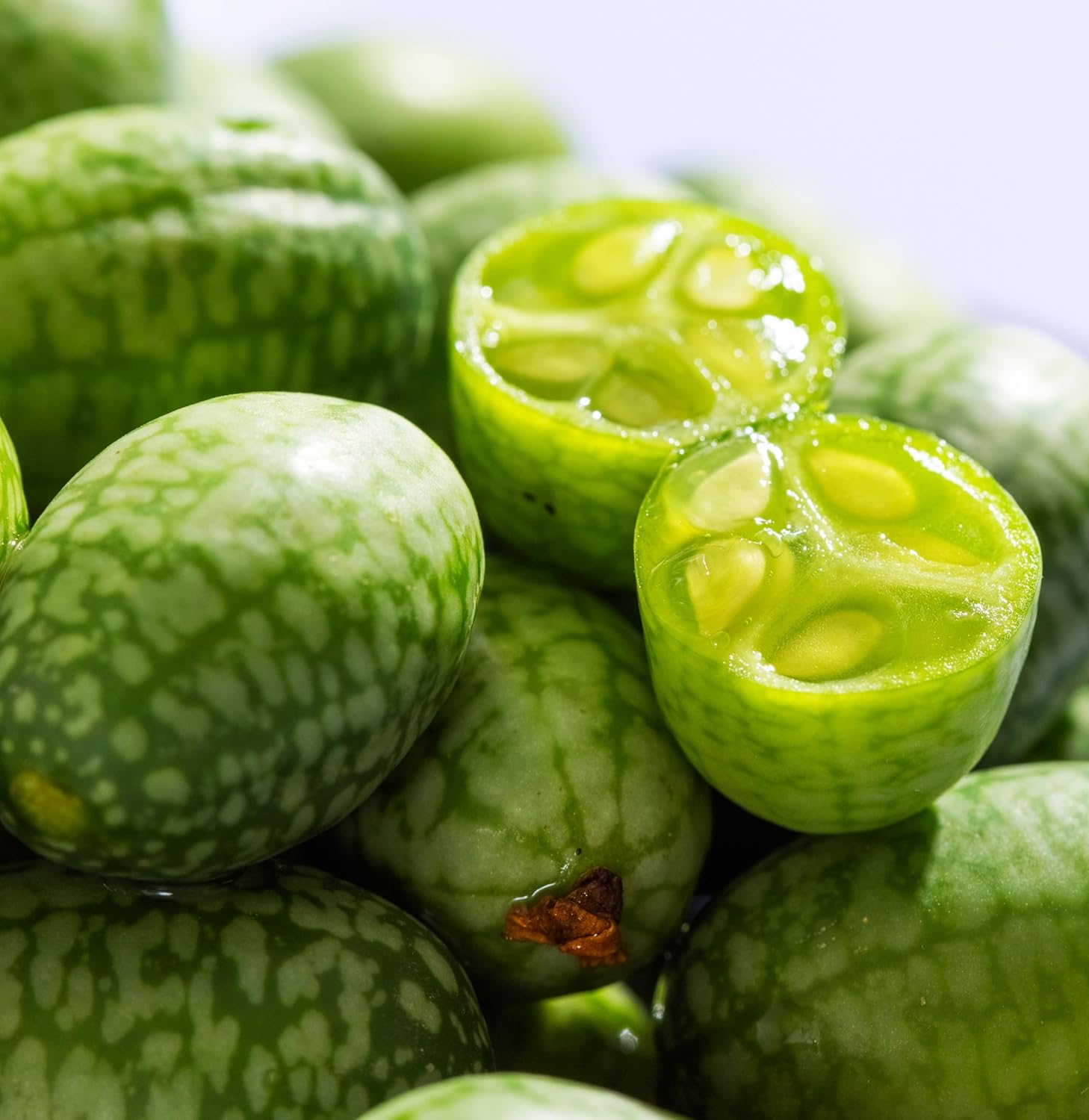 Mini Watermelon vines grown from high-quality seeds