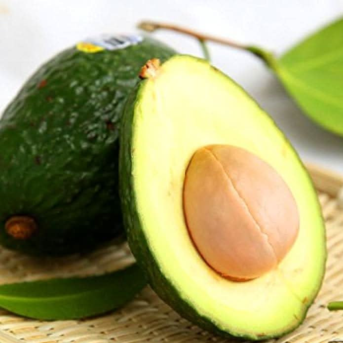 Mixed Avocado Seeds Persea americana for planting
