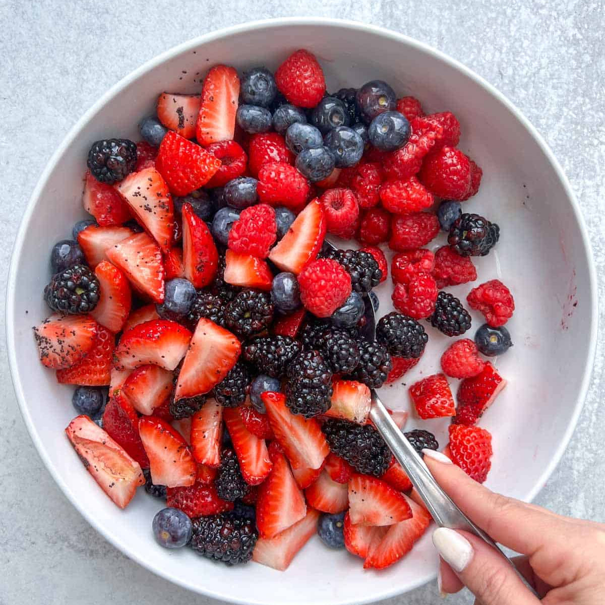 Mix Wild Berry Fruit Seeds - Tart and Sweet Wild Berries for Home Gardens,Wild Berry Exotic Edible Fruit jam Jelly Sweet Seed