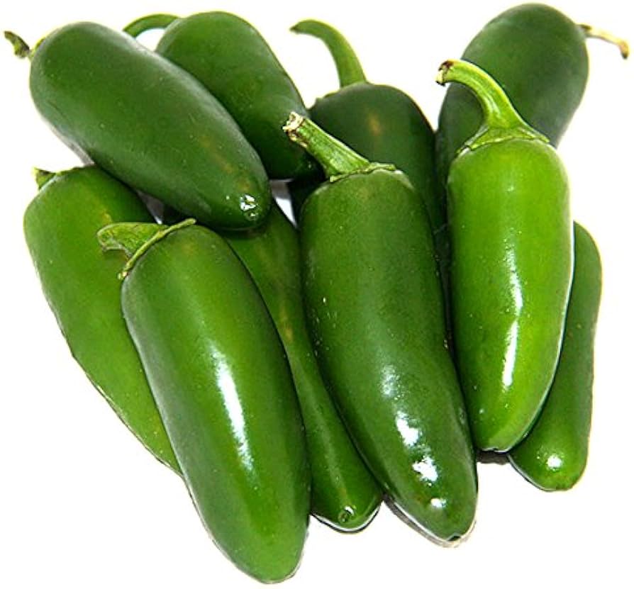 Mucho Nacho Jumbo Jalapeno Pepper seeds – 75 - day spicy harvest - Dharaseeds