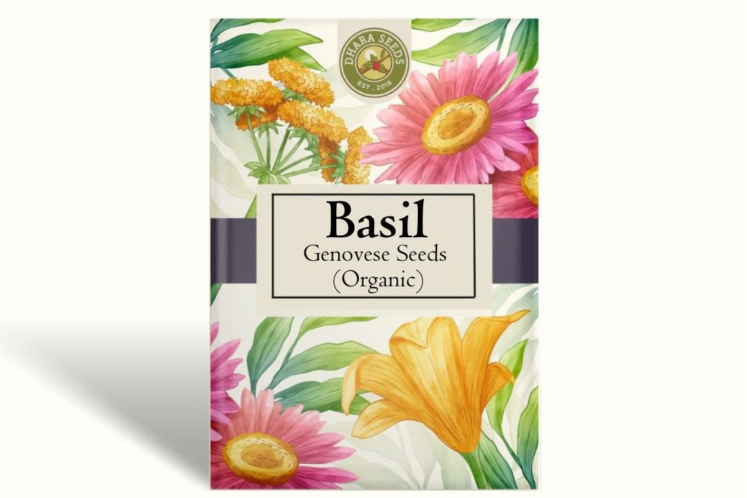 Basil Seeds (Organic) - Genovese