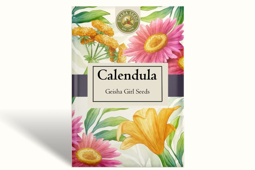 Calendula Seeds - Geisha Girl